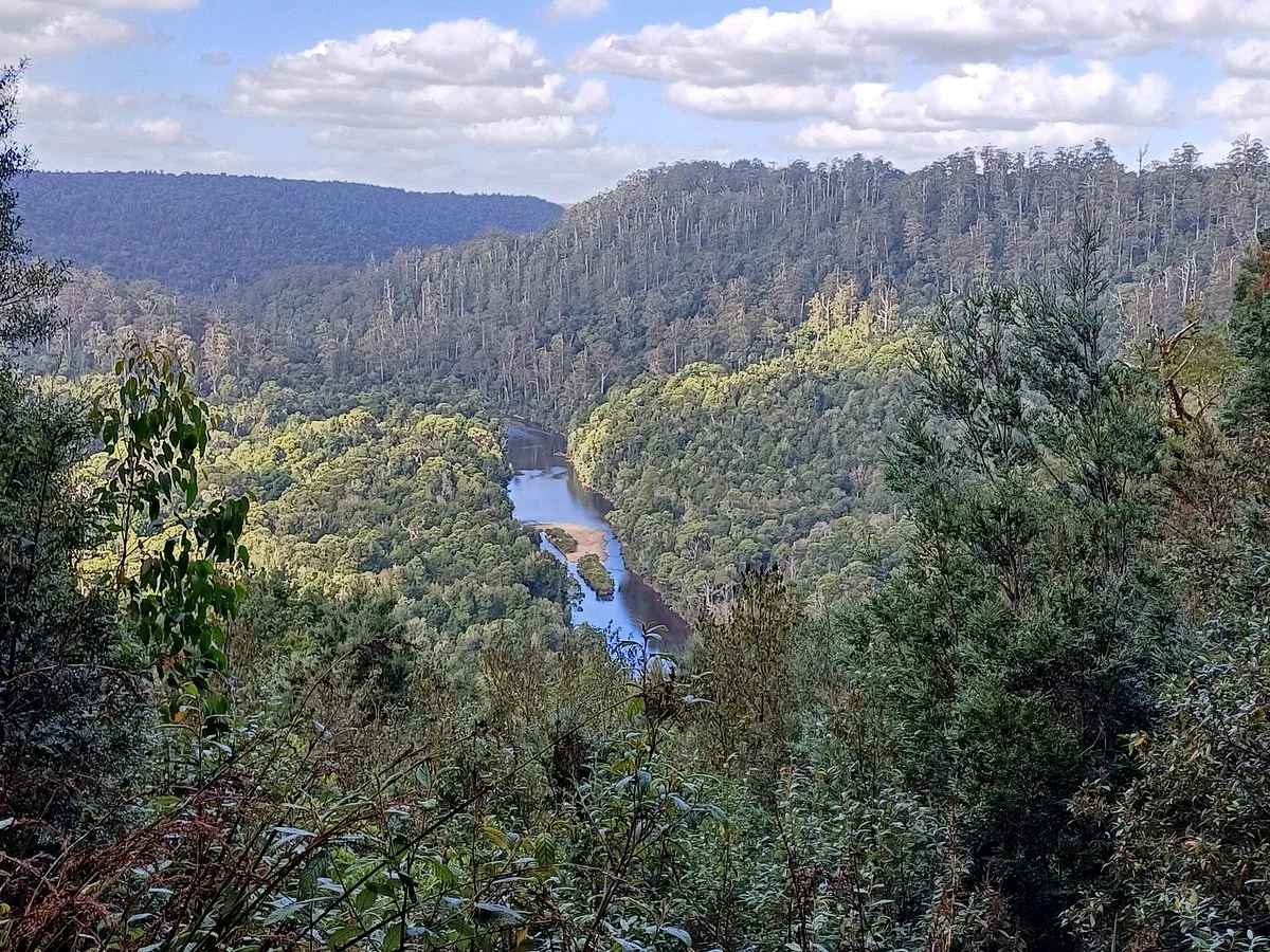 The Tarkine Drive