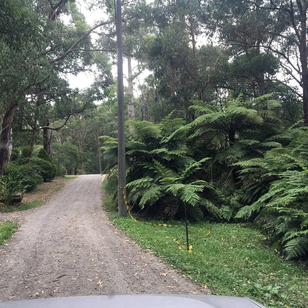 Minak Reserve