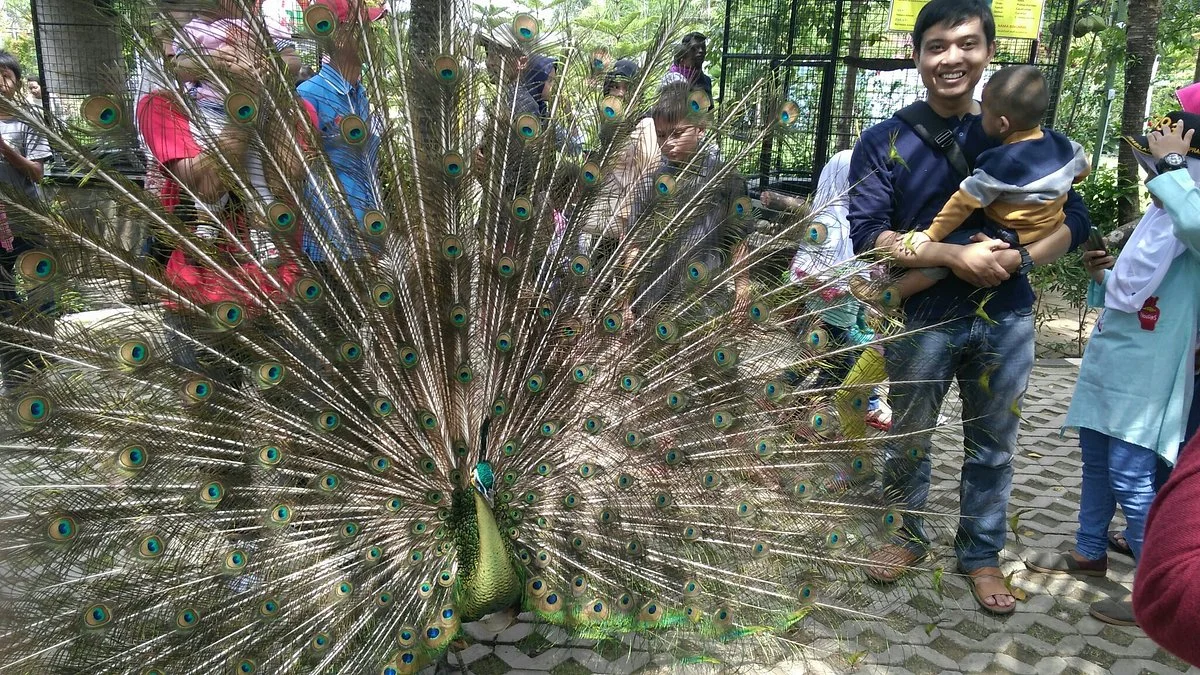 Taman Wisata Pendidikan Purbasari Pancuran Mas