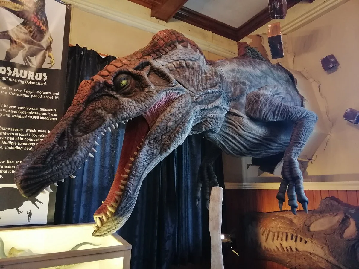 Dinosaur House