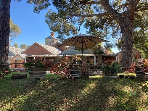 Pfeiffer Wines