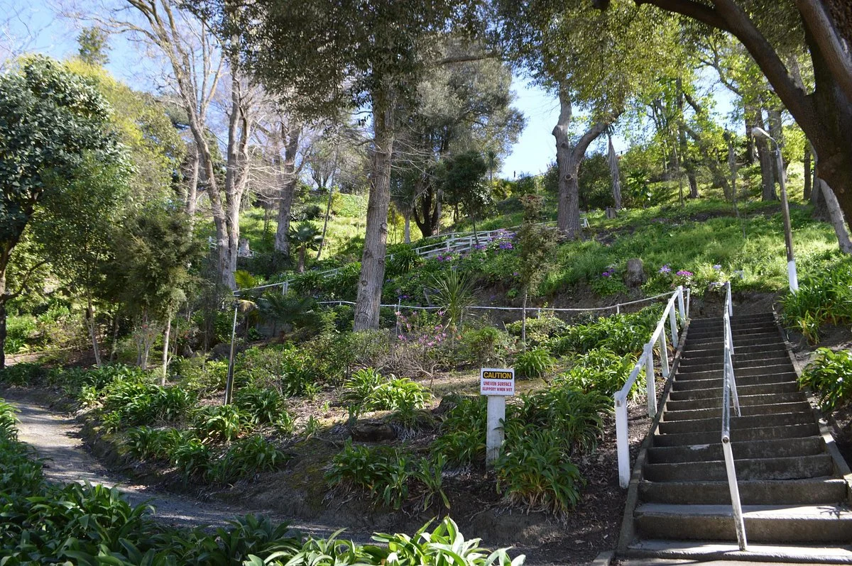 Tiffen Park