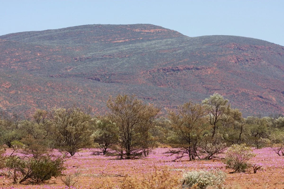 Mount Augustus National Park