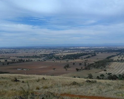 Tallis Wine Cellar Door