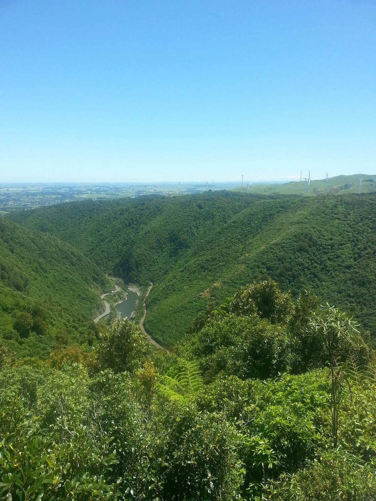 Manawatu Gorge Track