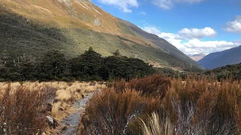 Bealey Valley Track