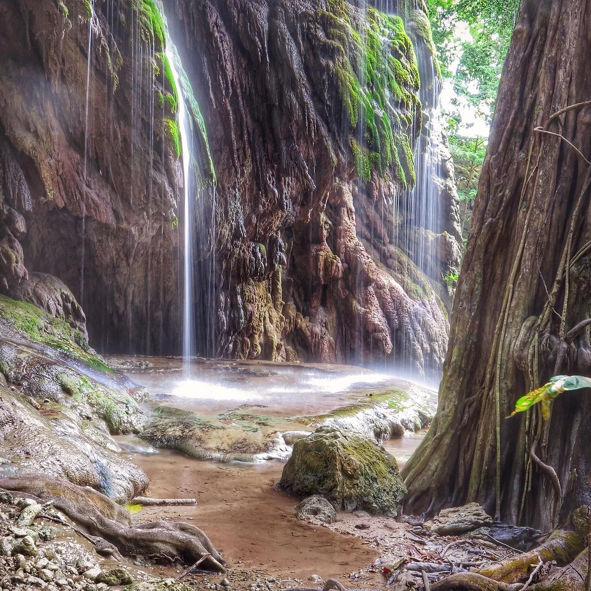 The Dales Hiking Trail