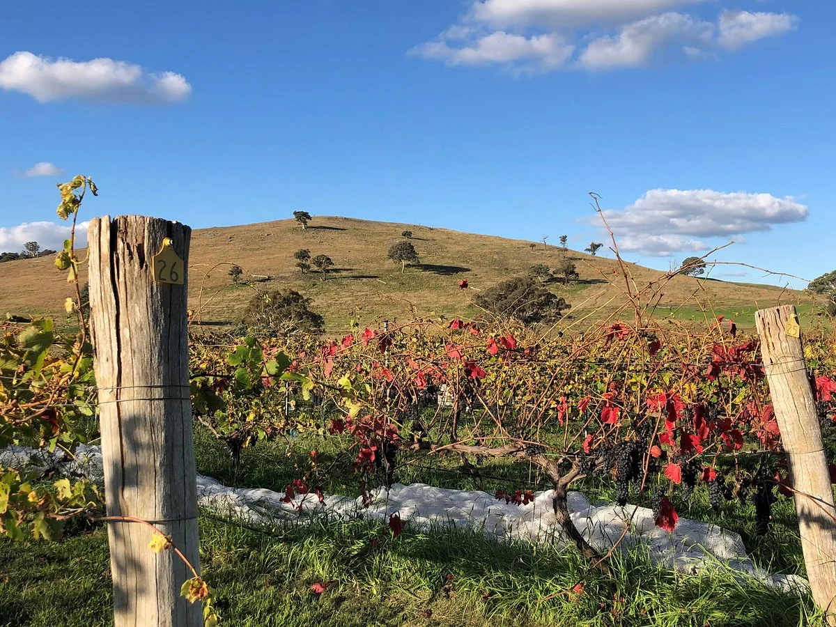 Dionysus Winery