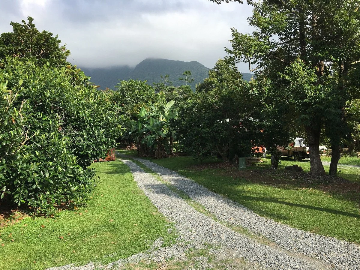 Cape Trib Farm