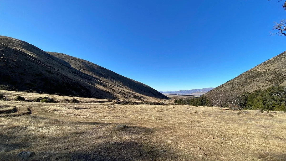 Quailburn Woolshed
