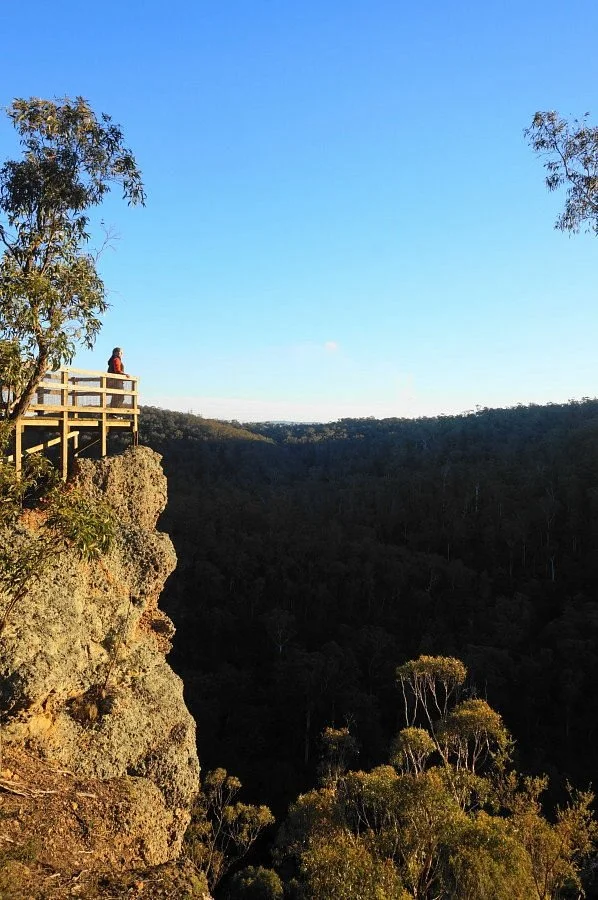 Peterson's Lookout