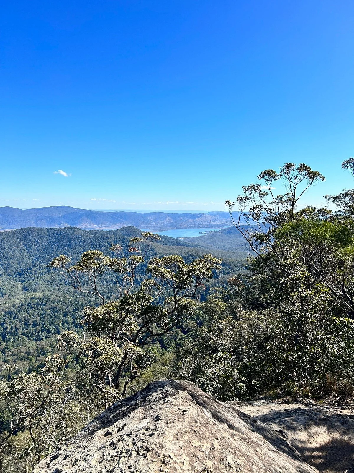 D’Aguilar National Park