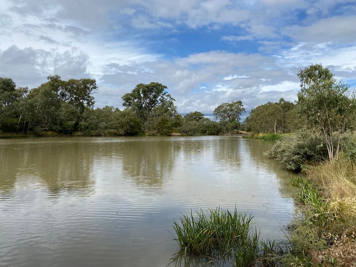 Simon Creek Wetland