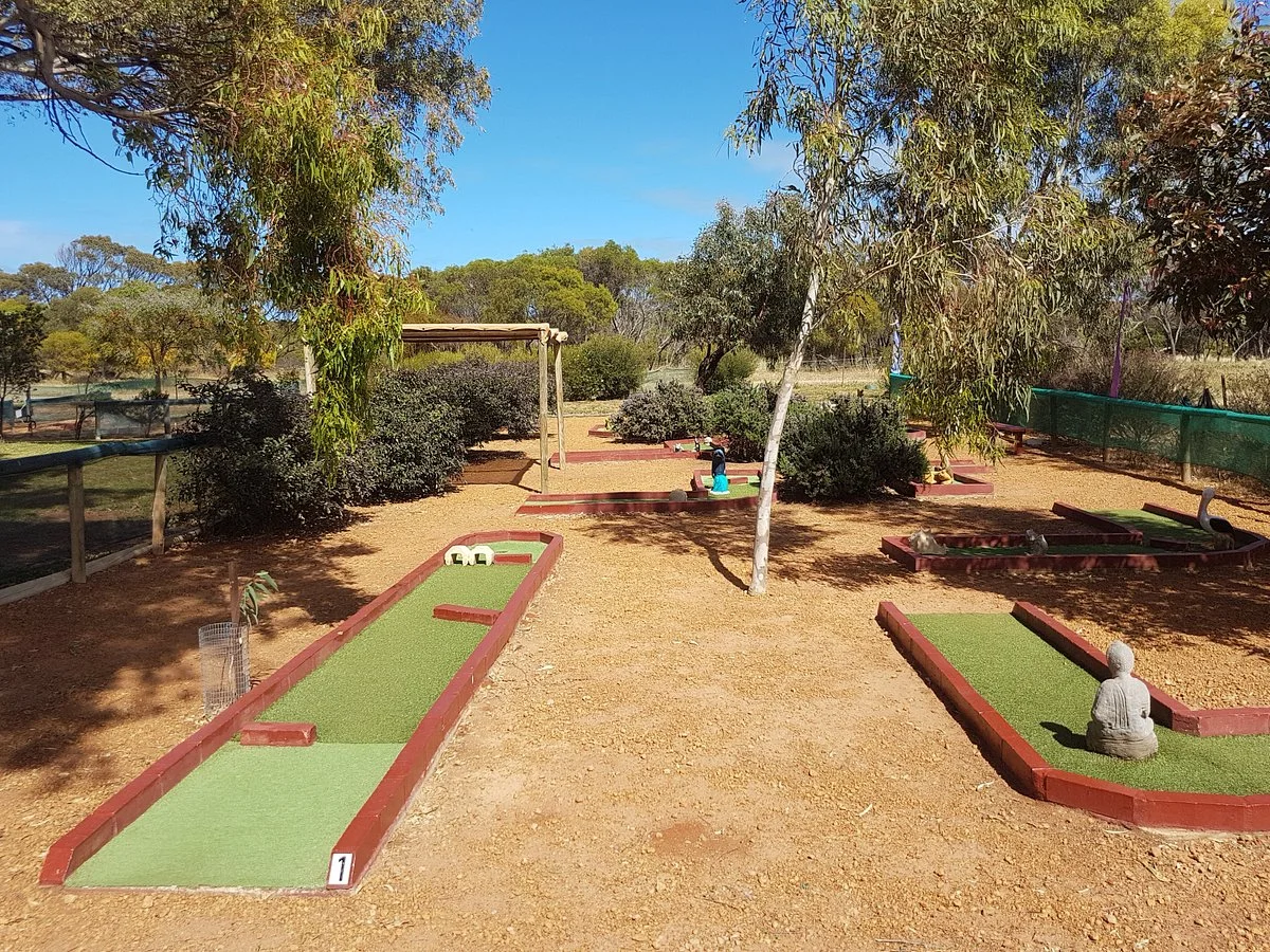 Dongara Activity Park