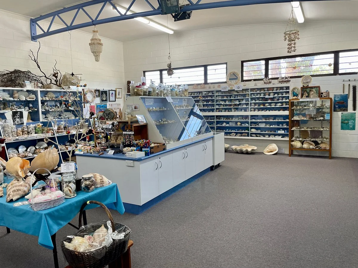 Shell World Yeppoon