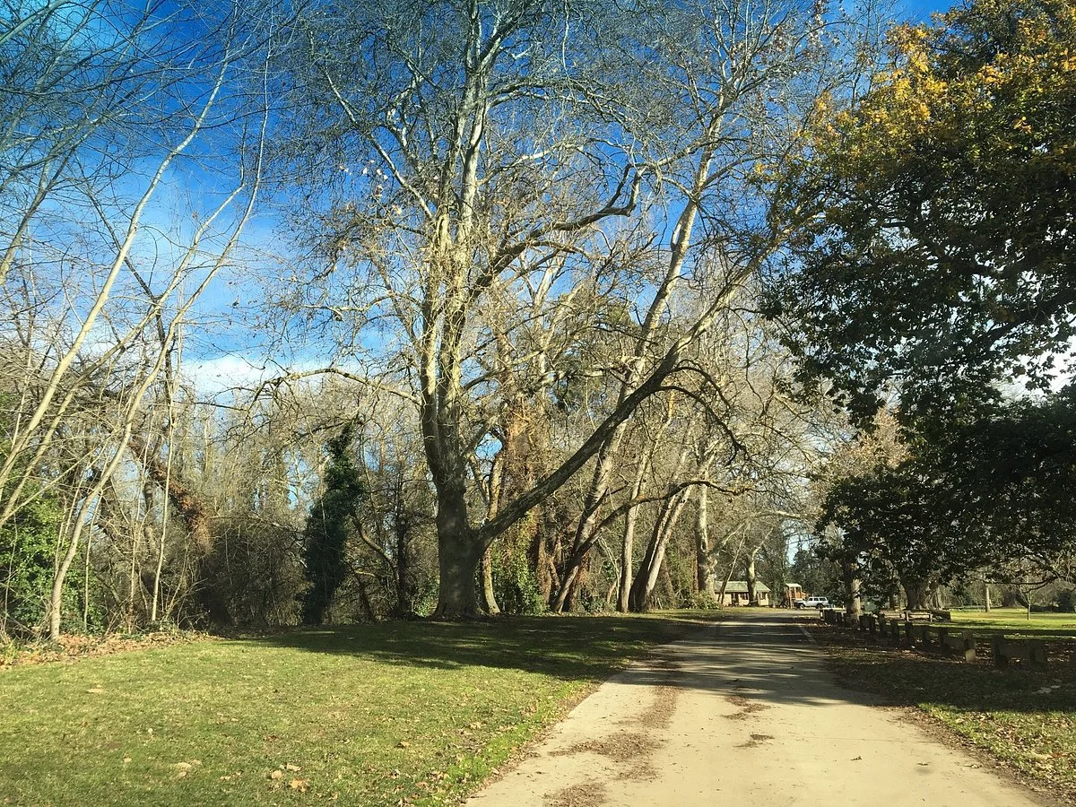 Mossvale Park