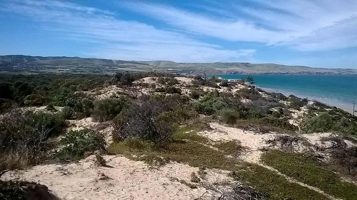 Aldinga Scrub Conservation Park