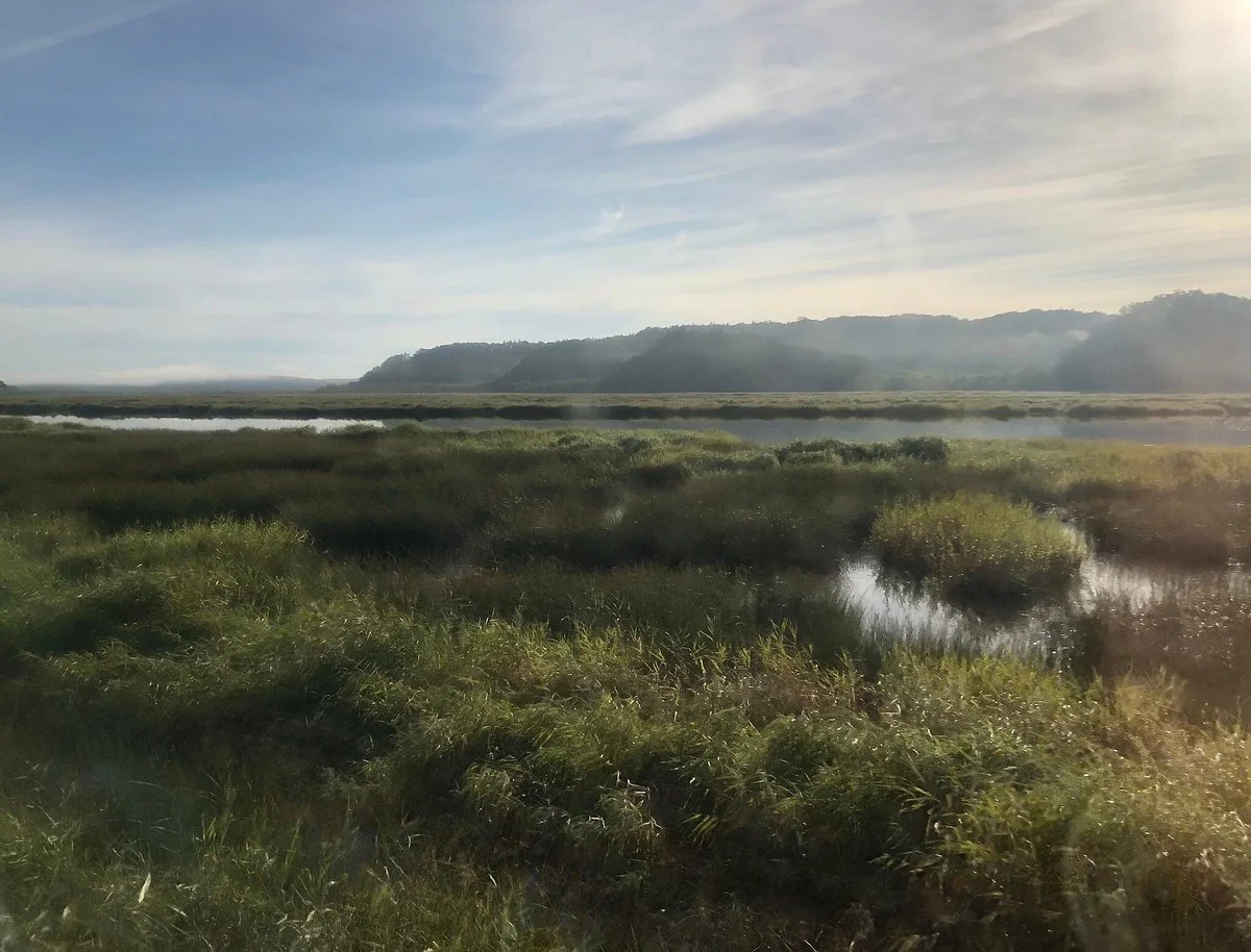 Bekkanbeushi Wetland