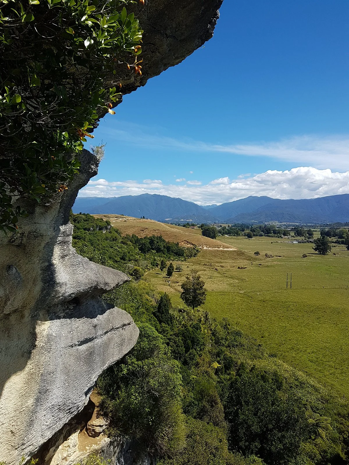 The Grove Scenic Reserve
