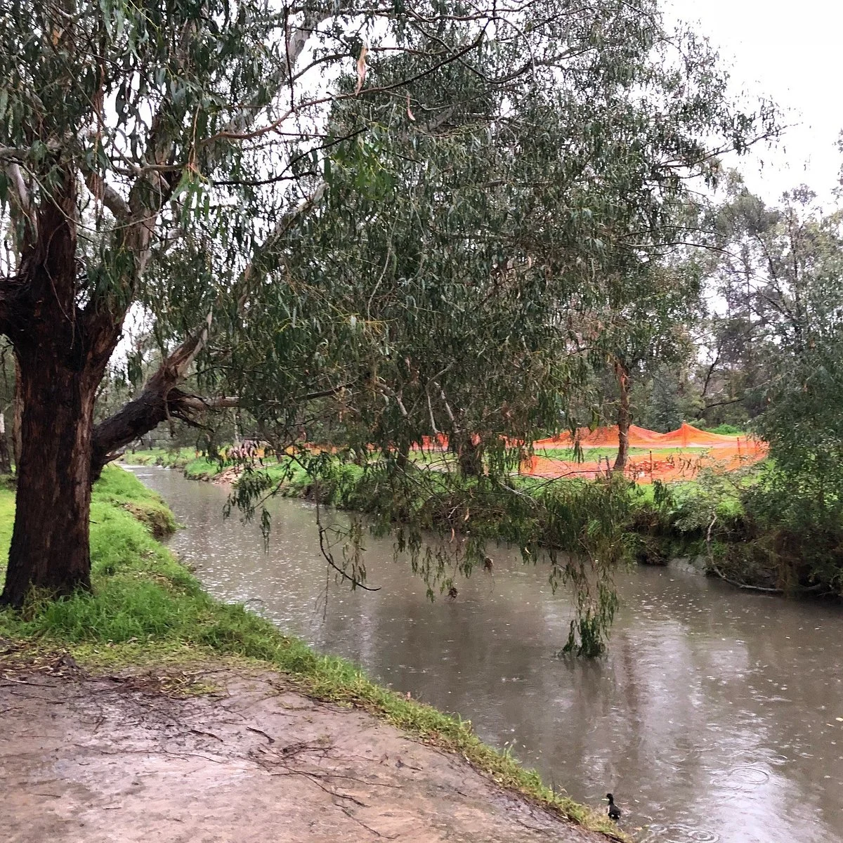 JW Manson Reserve