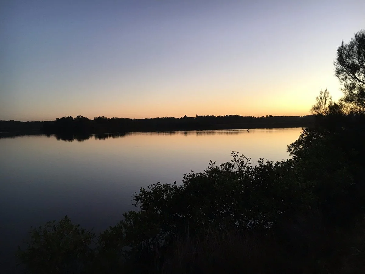 Belmont Wetlands State Park