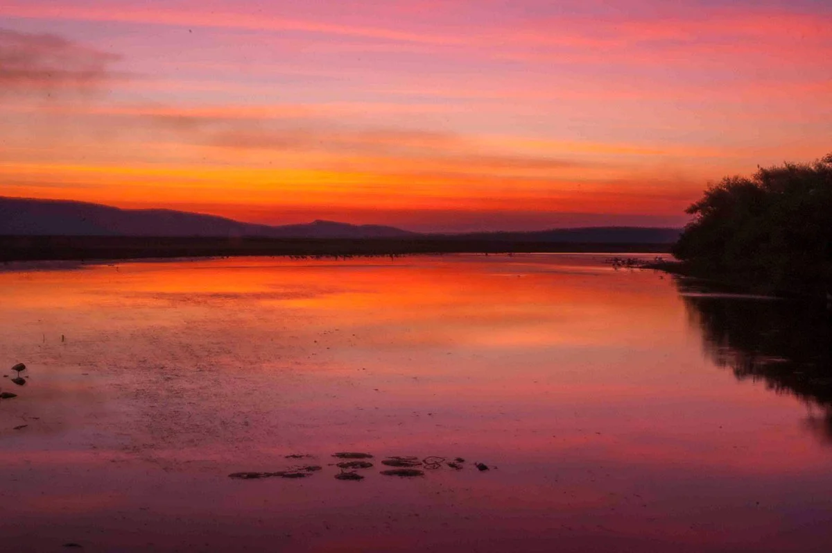 Parry Lagoons Nature Reserve