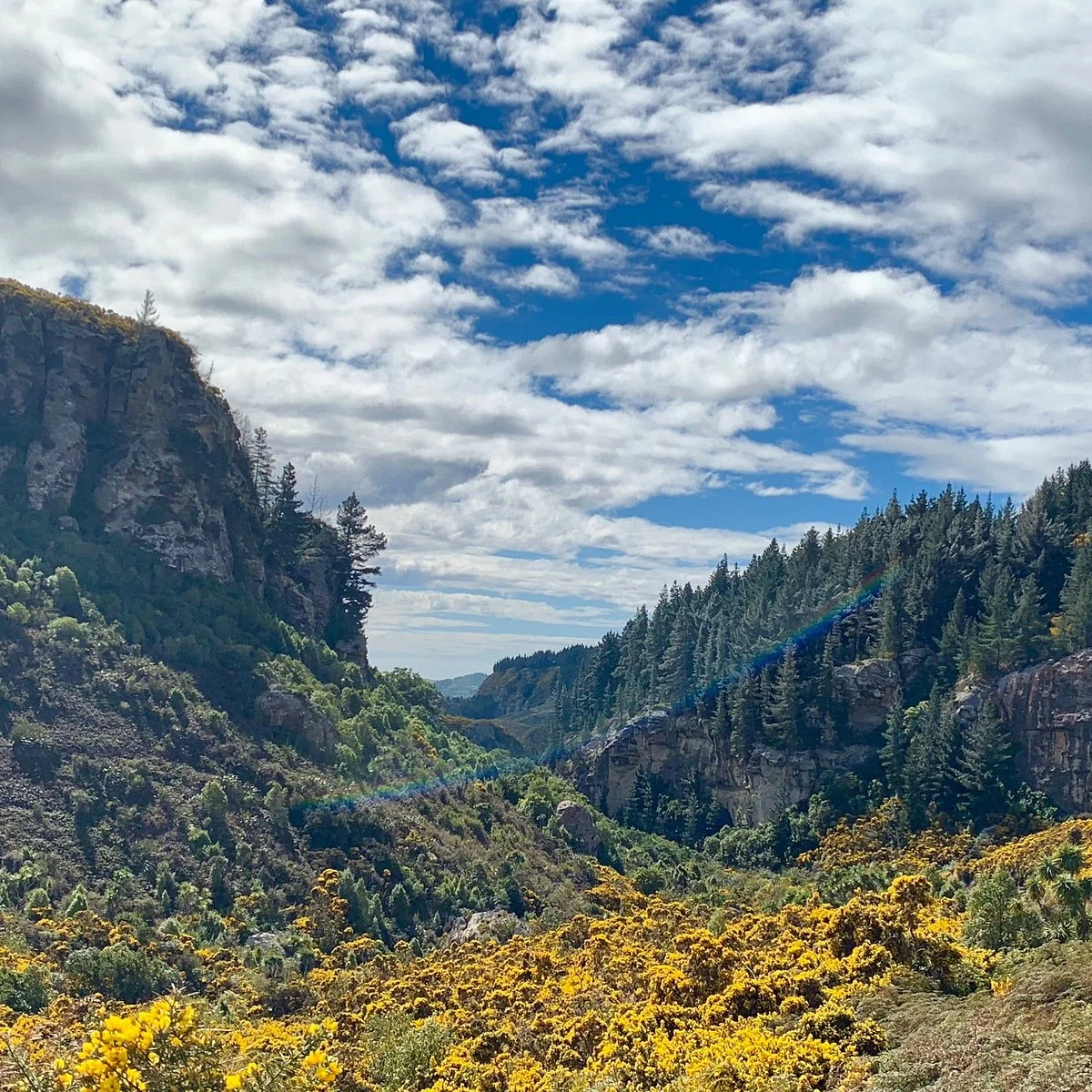 Trotters Gorge Scenic Reserve