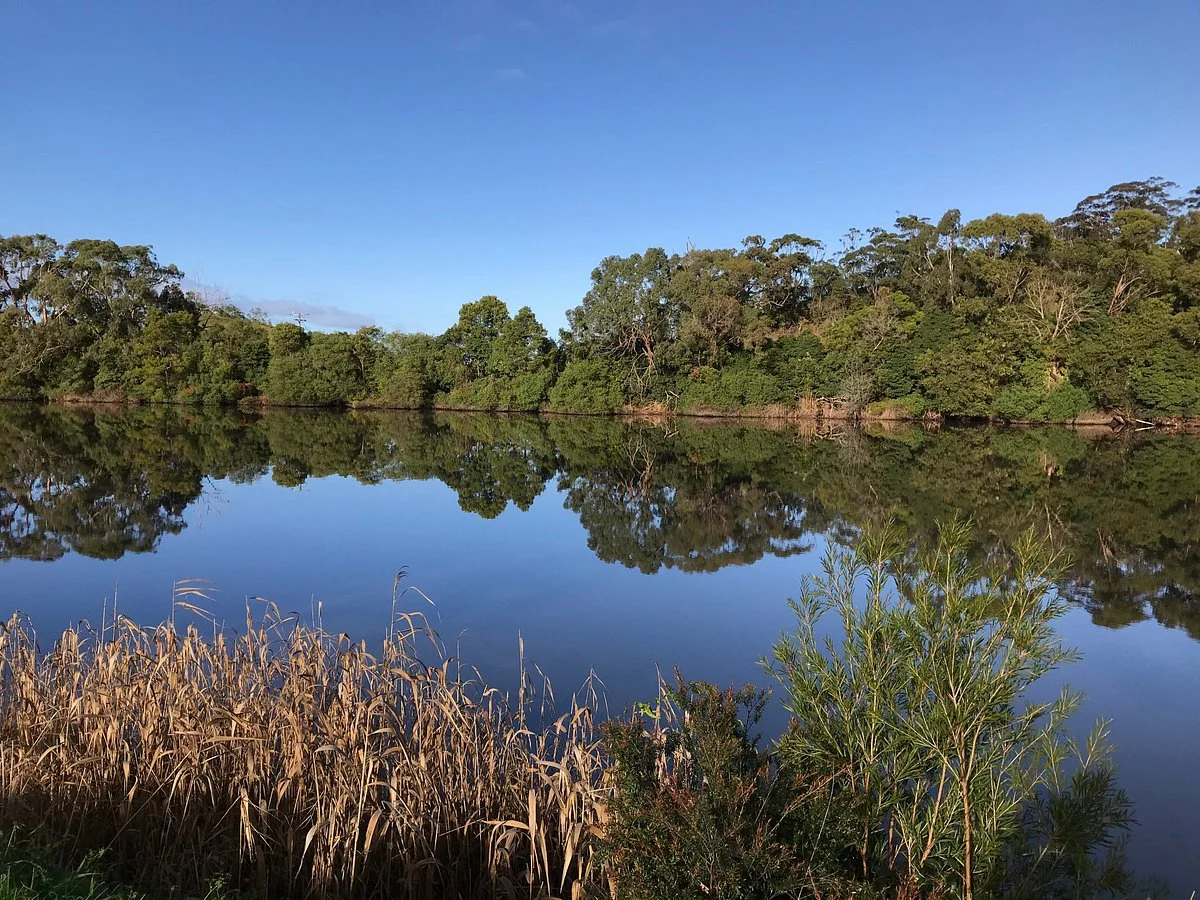 Snowy River Marlo