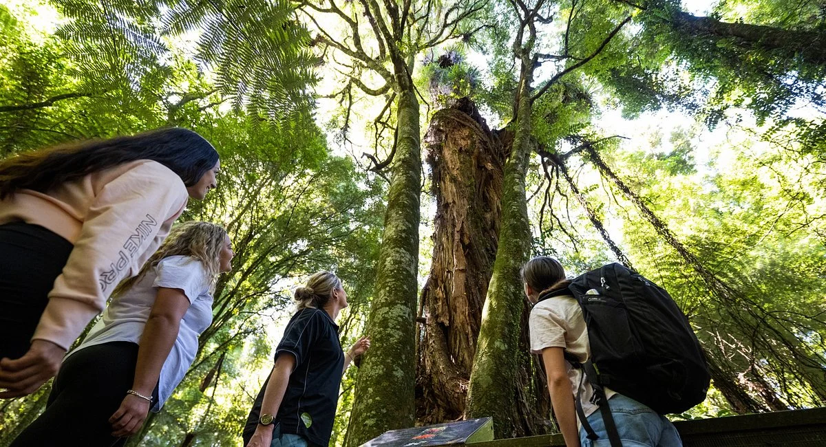 Sanctuary Mountain Maungatautari