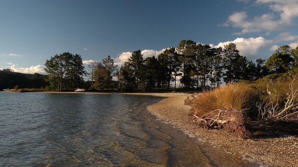 Tuapiro Point