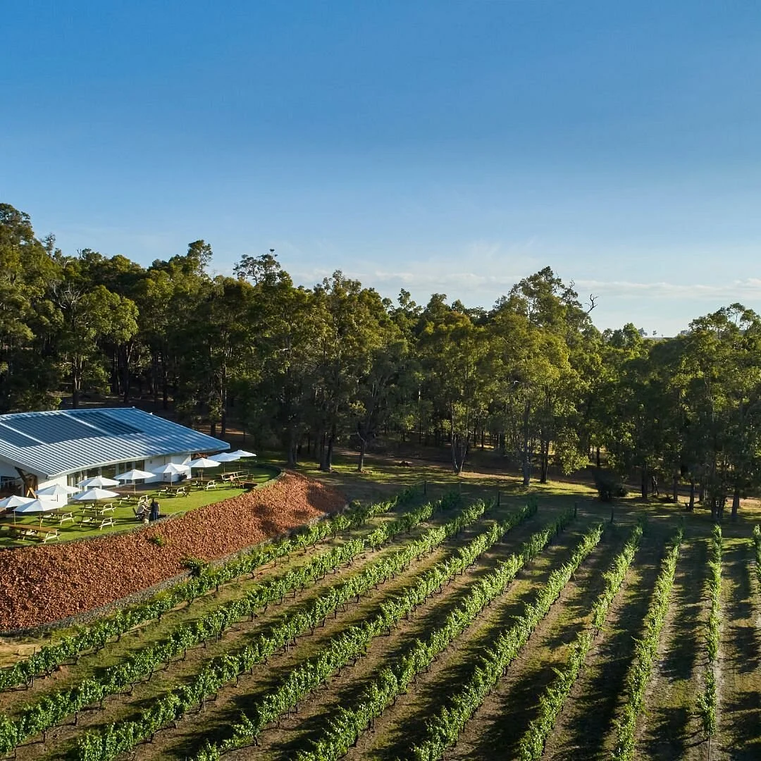 Coughlan Estate Winery