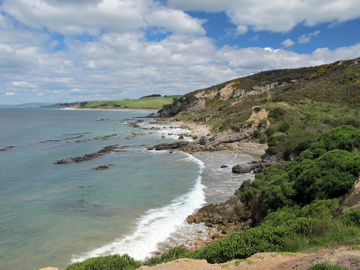 Shag Point Nature Reserve