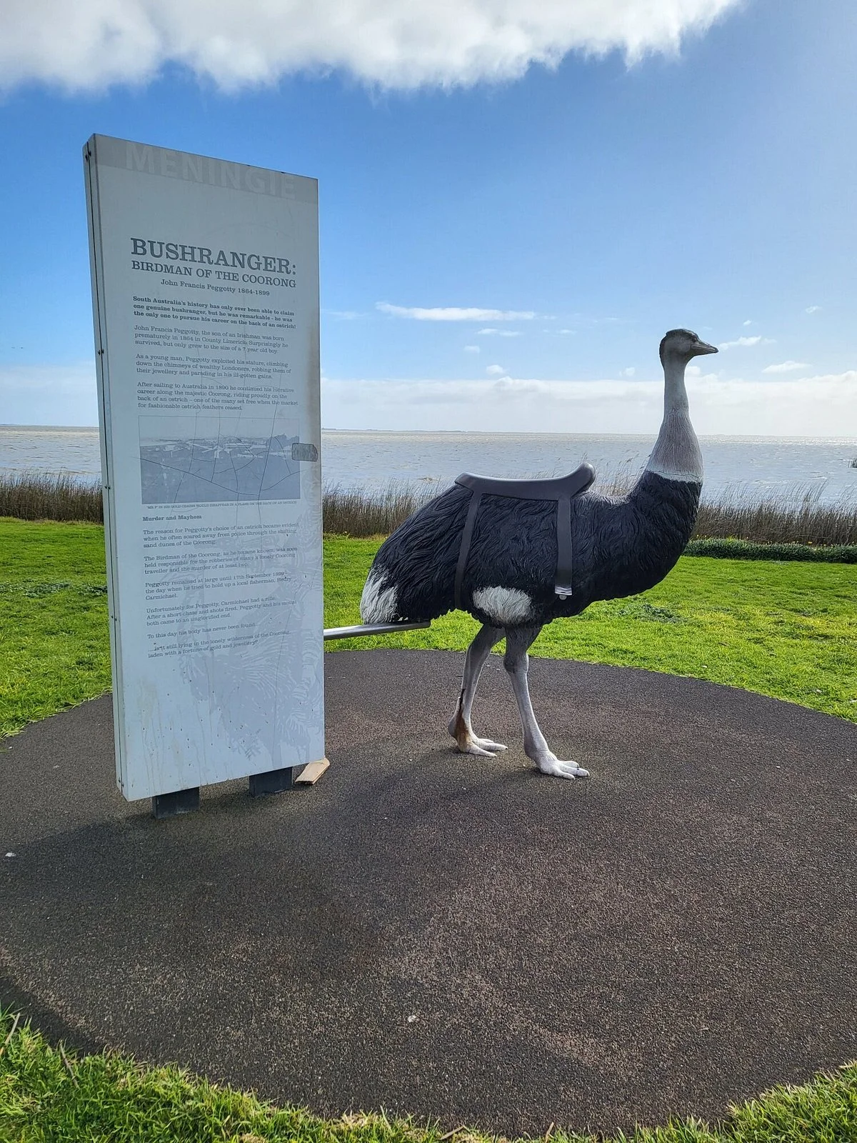 Birdman of the Coorong
