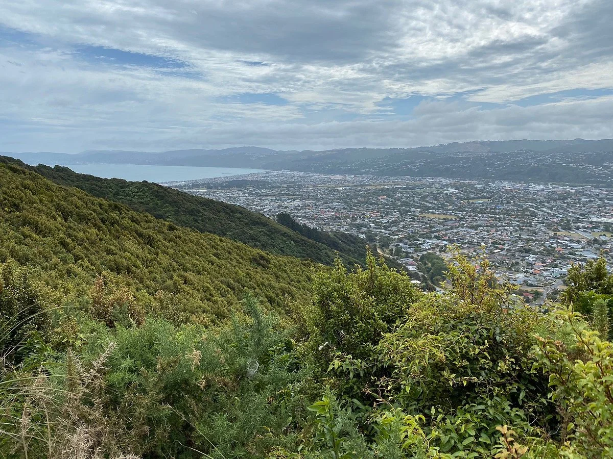 Te Whiti Riser