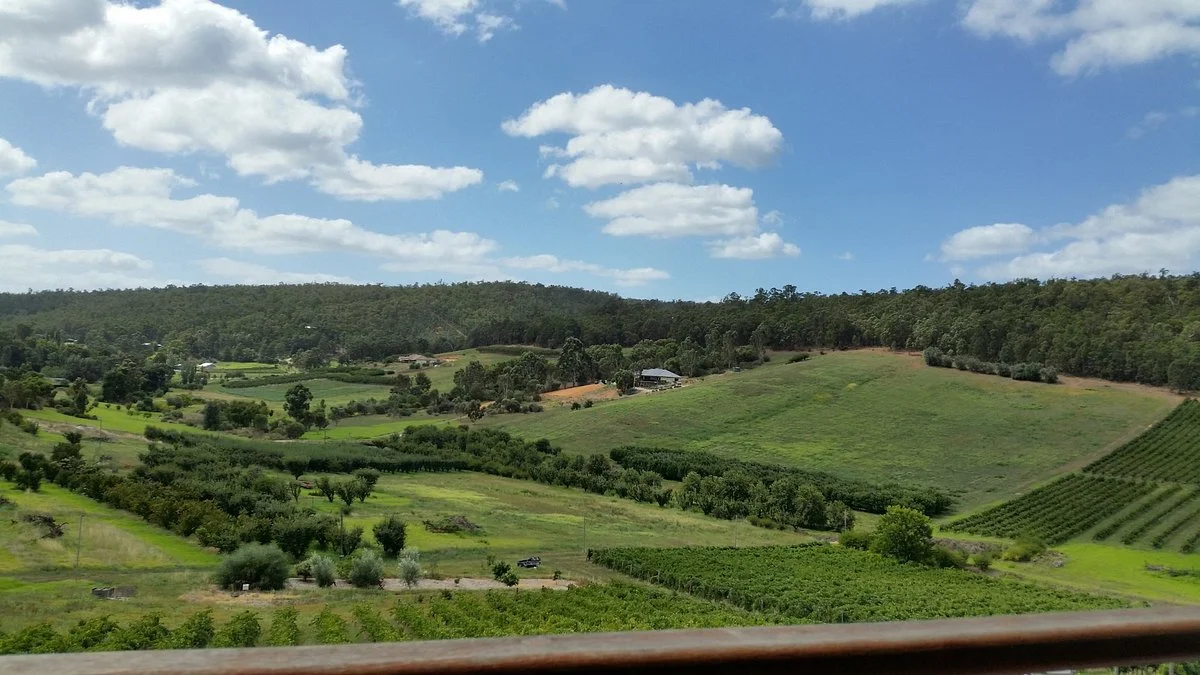 Plume Estate Vineyard