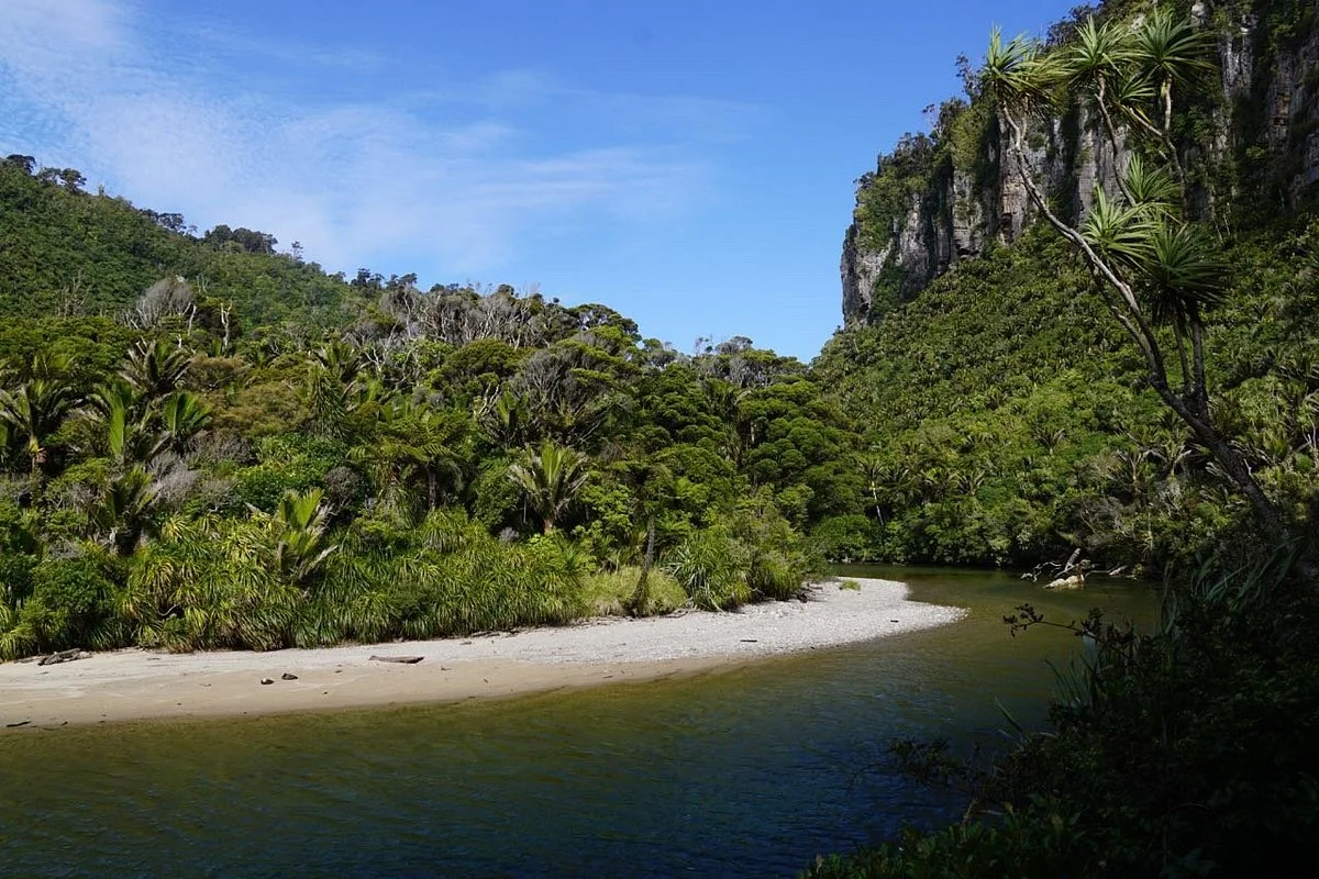Pororari River Track