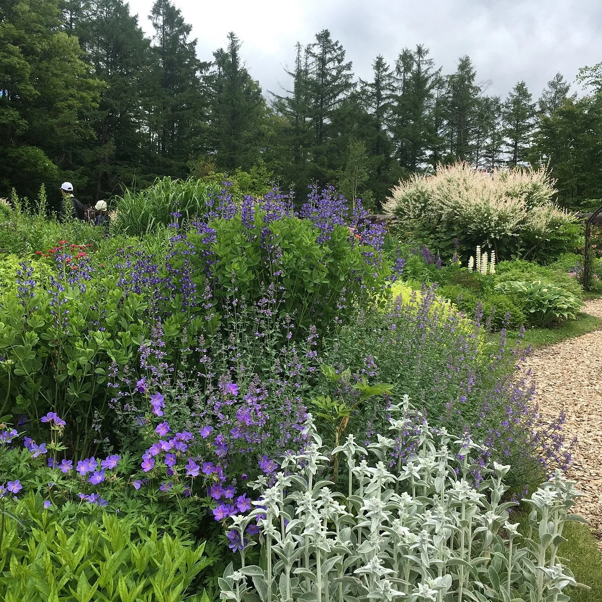 Garden of Wind