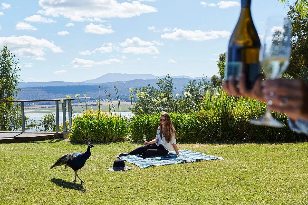 Tamar Ridge Cellar Door