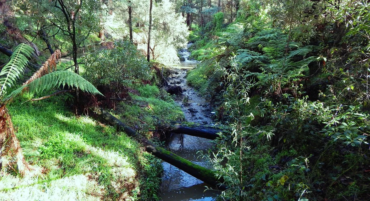 Korumburra Botanic Park