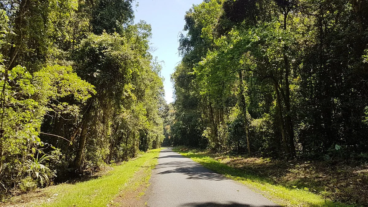 Tooloom National Park