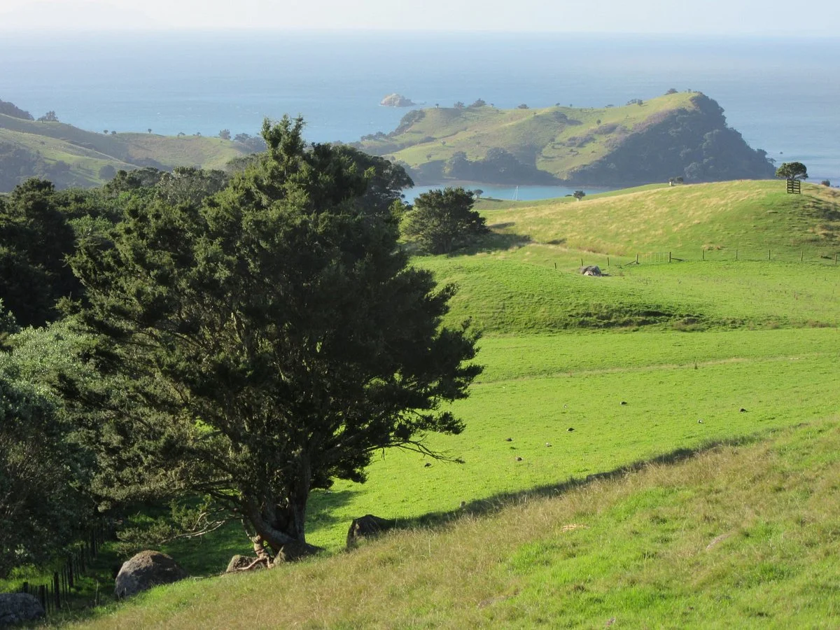 Stony Batter Historical Reserve