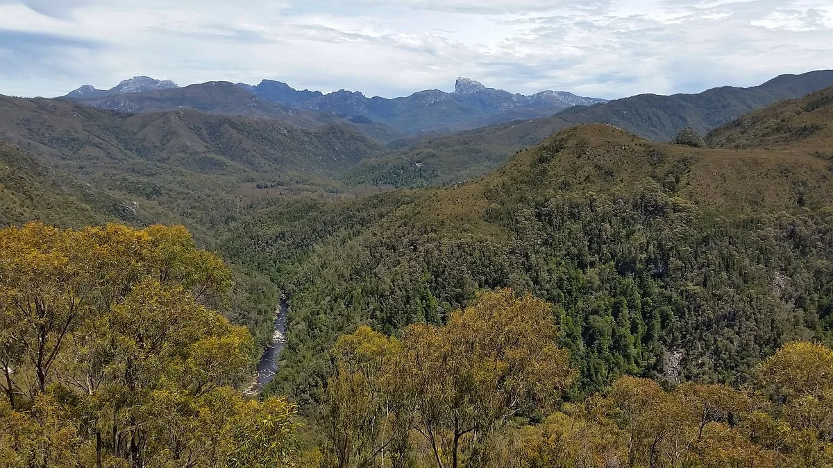 Donaghys Lookout