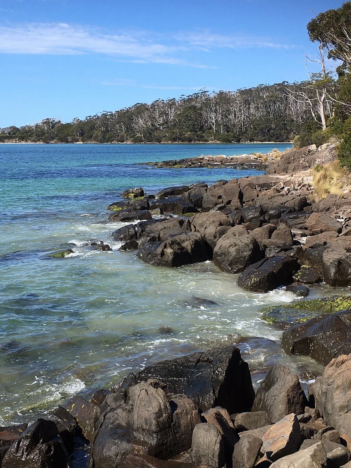 Cockle Creek