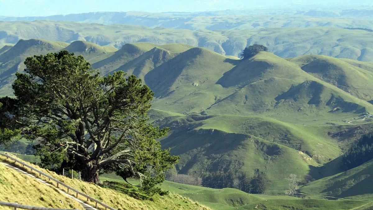 Te Mata Park