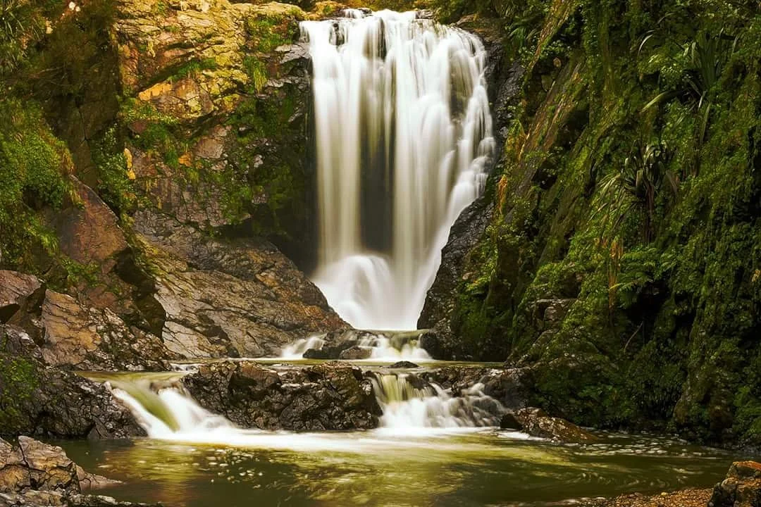 Piroa Falls Track