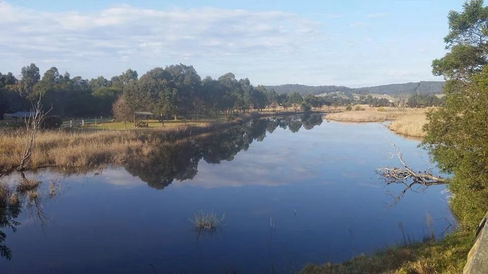 Panboola Wetlands