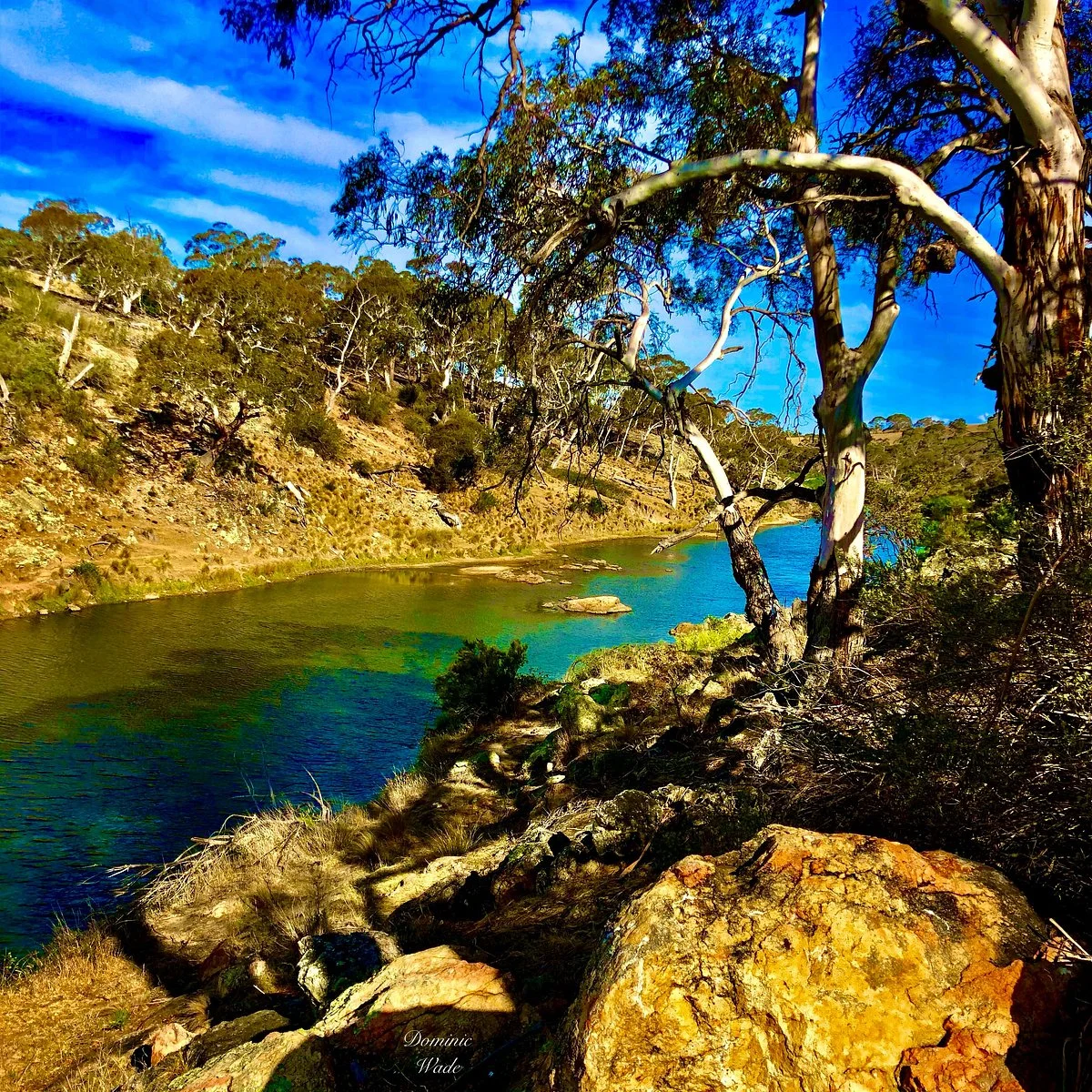 Bombala Platypus Reserve