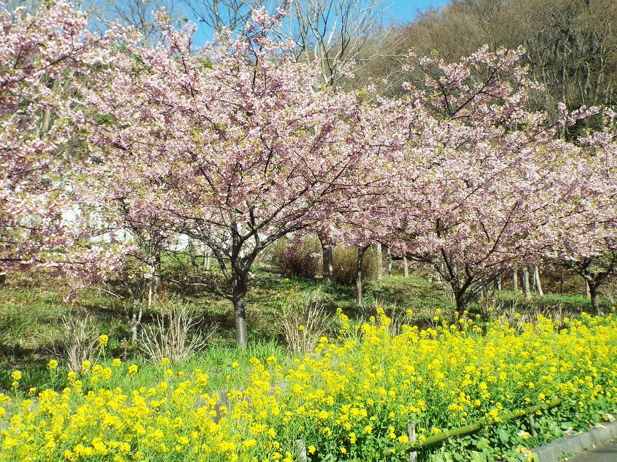 Oiso Sports Park