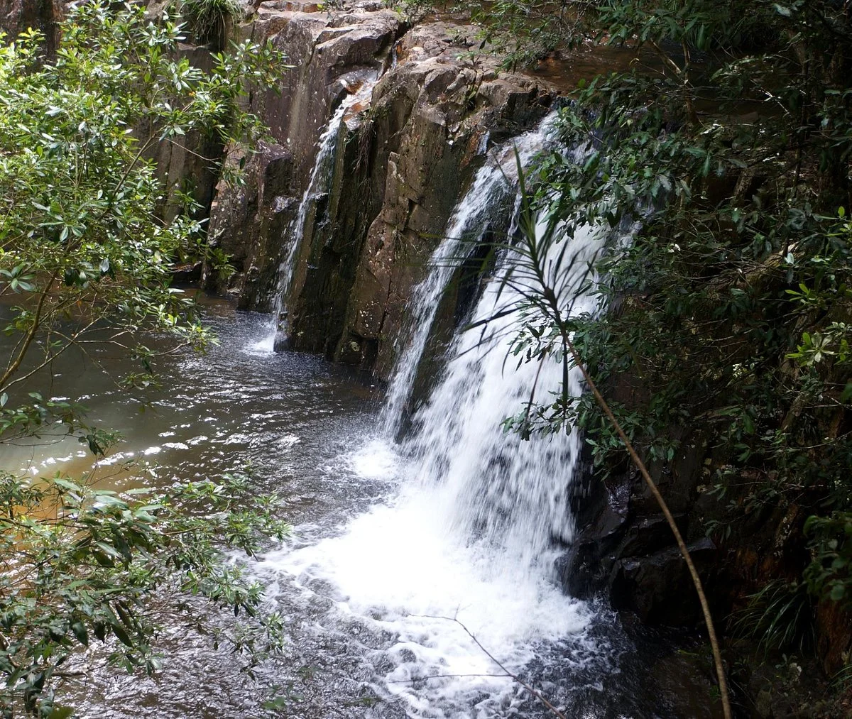 Coorabakh National Park