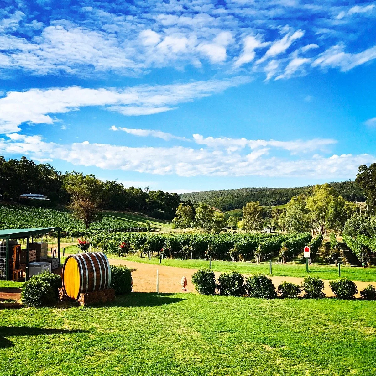 Myattsfield Vineyard